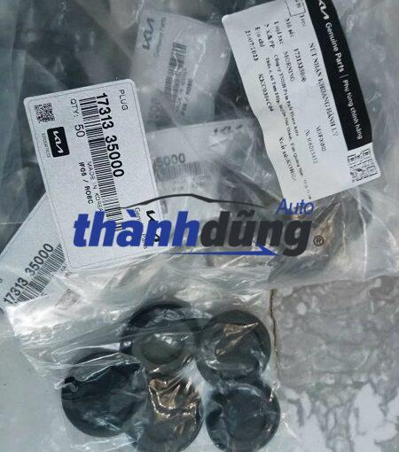 CAO SU SƯỜN XE HỐC LỐP HYUNDAI I20 2013-2019