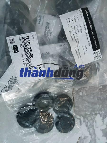 CAO SU HỐC LỐP KIA RIO 2009-2015