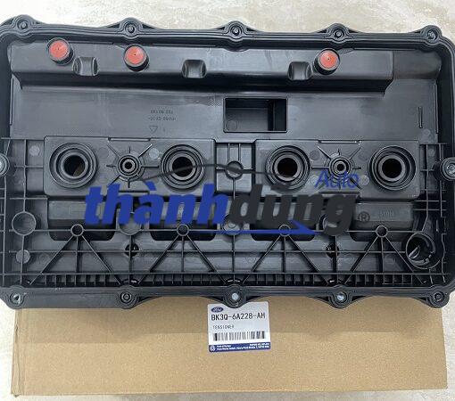 NẮP ĐẬY GIÀN CÒ FORD EVEREST 2014-2017