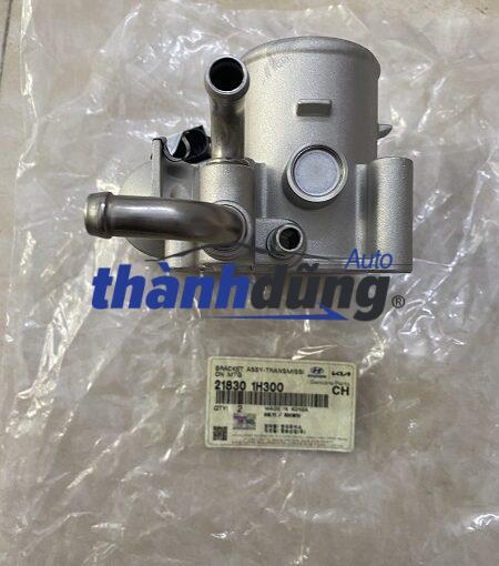 CỤM BƯỚM GA HYUNDAI I10 2014-2019