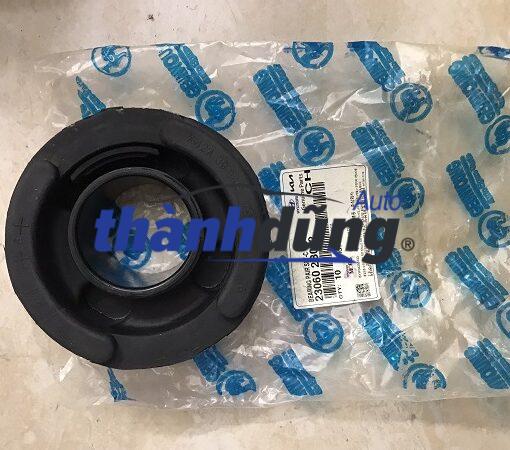 CAO SU CHÂN CA BIN KIA K190