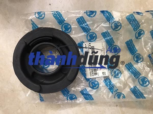 CAO SU CHÂN CA BIN KIA K190