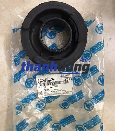 CAO SU CHÂN CA BIN KIA K190