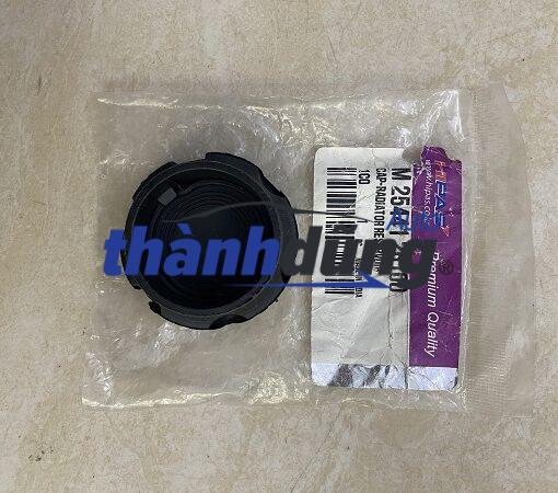 NẮP BÌNH NƯỚC PHỤ HYUNDAI I10