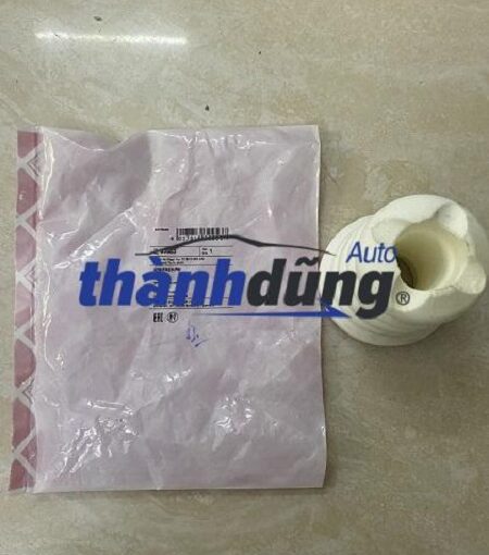 TĂM BÔNG PHUỘC NHÚN TRƯỚC BMW 328I