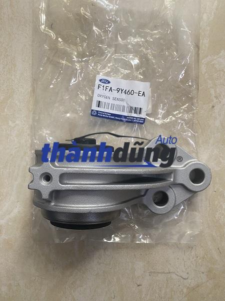 CHÂN MÁY SAU FORD ESCAPE 2.3 2011