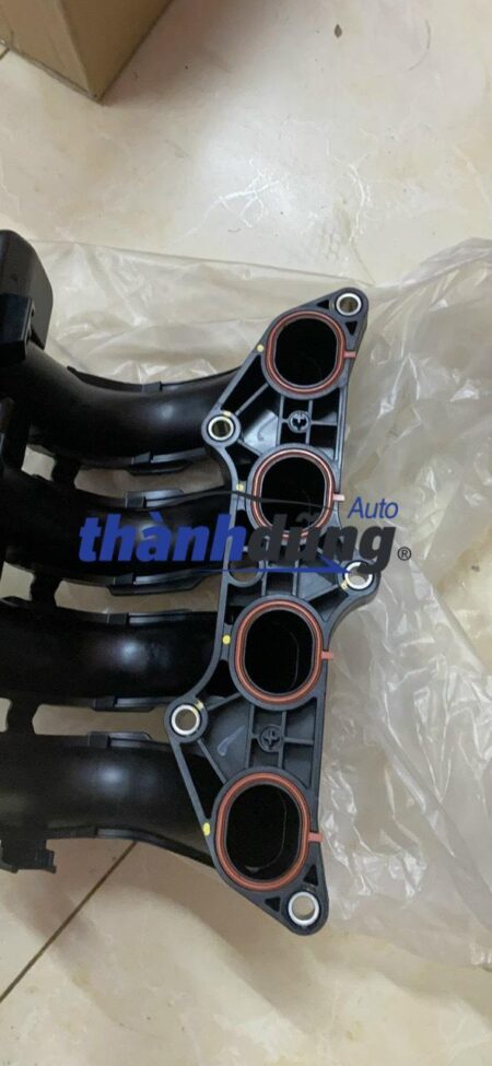 CỔ HÚT GIÓ CITY 2015