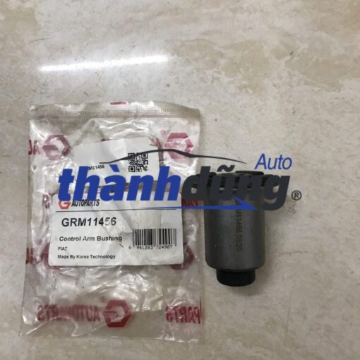 CAO SU CÀNG A FIAT SIENA