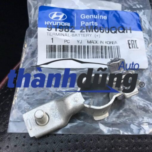 CỰC DƯƠNG ẮC QUY VERACRUZ