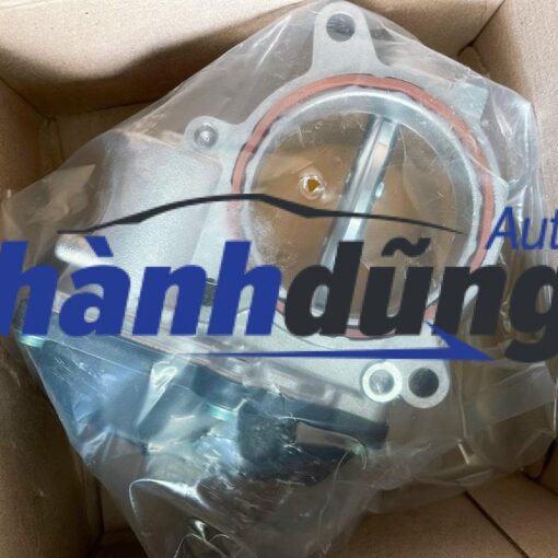 CỤM BƯỚM GA BONGO 3