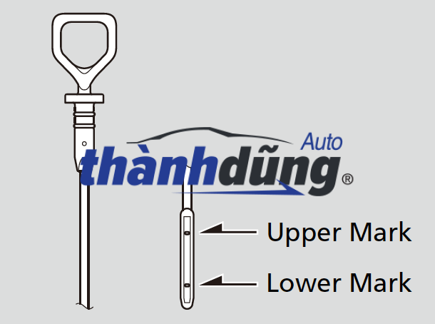 QUE THĂM DÀU XE CHEVROLET CAPTIVA 2010 | 96628773 - Ảnh 4