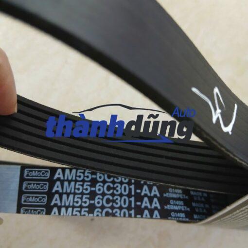 DÂY CUROA TRUYỀN ĐỘNG TỔNG FORD FOCUS 2.0L | AM566C301AA CHÍNH HÃNG