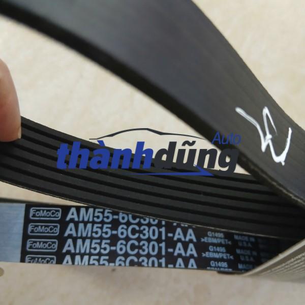 DÂY CUROA TRUYỀN ĐỘNG TỔNG FORD FOCUS 2.0L | AM566C301AA CHÍNH HÃNG