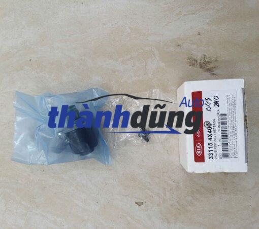 VAN ĐUÔI BƠM CAO ÁP KIA CARNIVAL 2.9 2008 | 331154X400