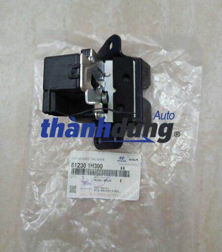 Ổ NGẬM CỐP HẬU HYUNDAI AVANTE 2010 | 812301H300