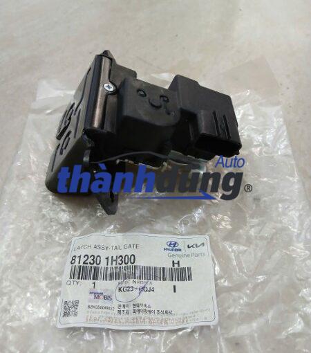 Ổ NGẬM CỐP HẬU HYUNDAI AVANTE 2010 | 812301H300