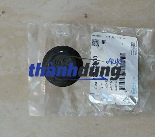 BU LÔNG MẶT MÁY CHEVROLET COLORADO 2014 | 12625900