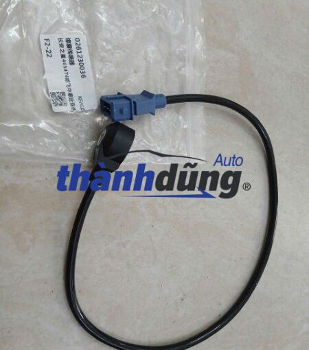 CẢM BIẾN TIẾNG GÕ SYM T880 2010